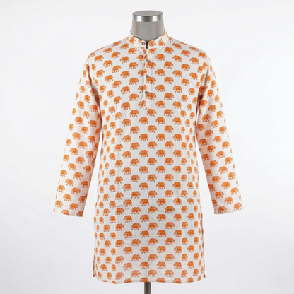Hand-Block Elephant Print Cotton Kurta
