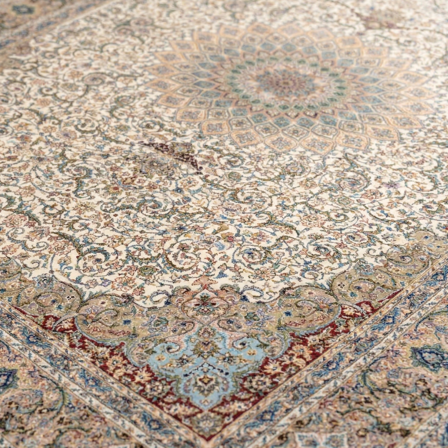 Elegant Medallion Traditional Oriental Area Rug